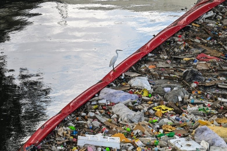 A seagull sits on a red floating filter stretching across a river, with clean water above the filter and plastic waste covering the water below the filter.