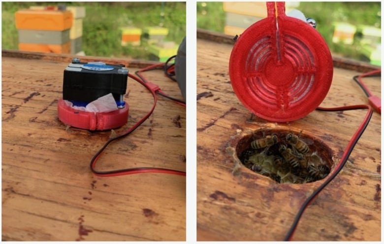 Two side-by-side images of a small plastic device sitting over a hole in a beehive.