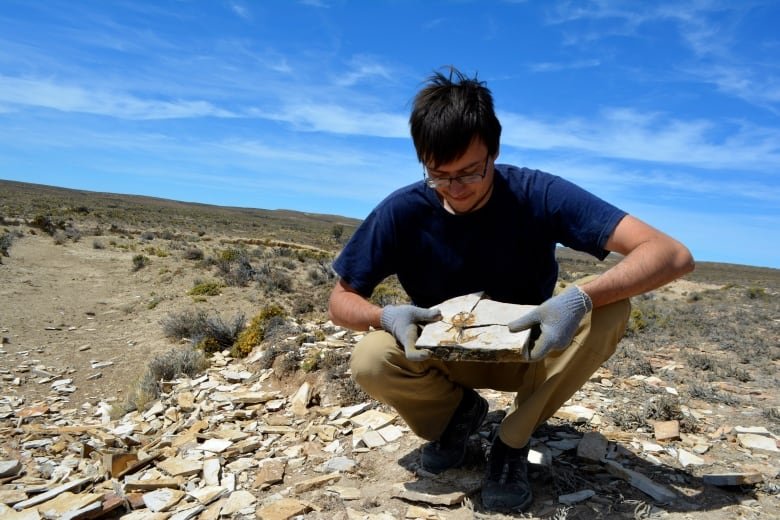 Crouched man holds slabs of rock containing a fossil frog