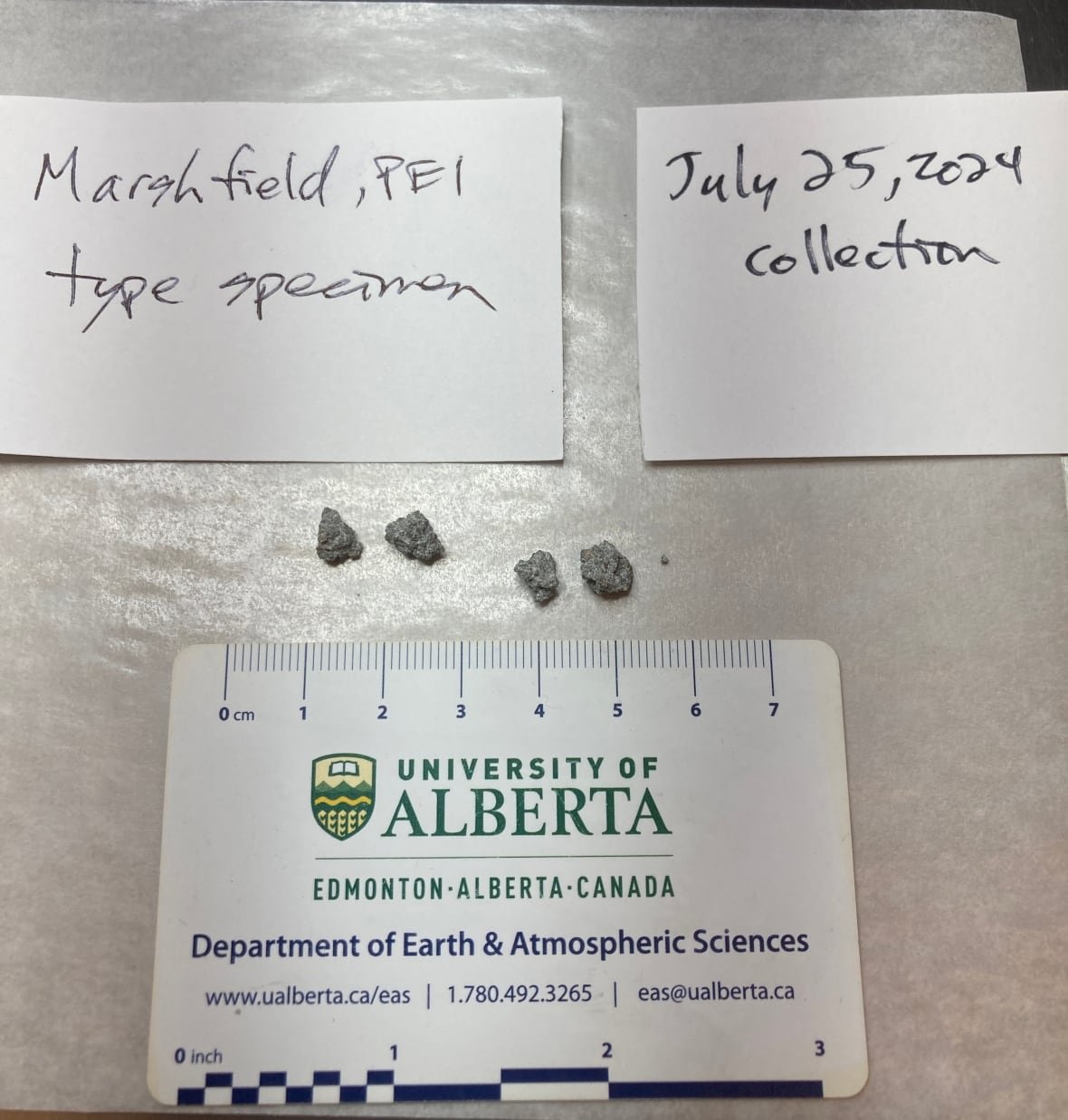Four small rock fragments sit on a table.