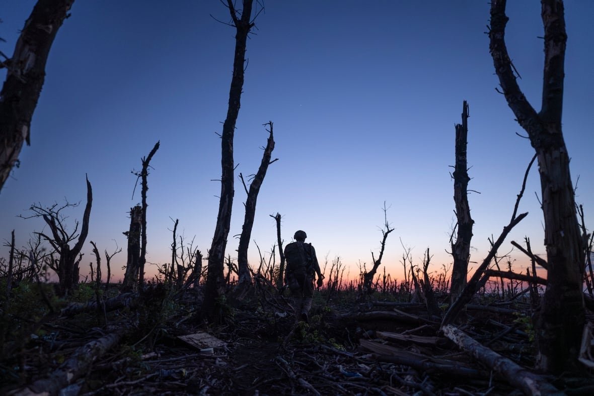 2000-meters-to-andriivka A silhouetted figure stands among trees at sunset.