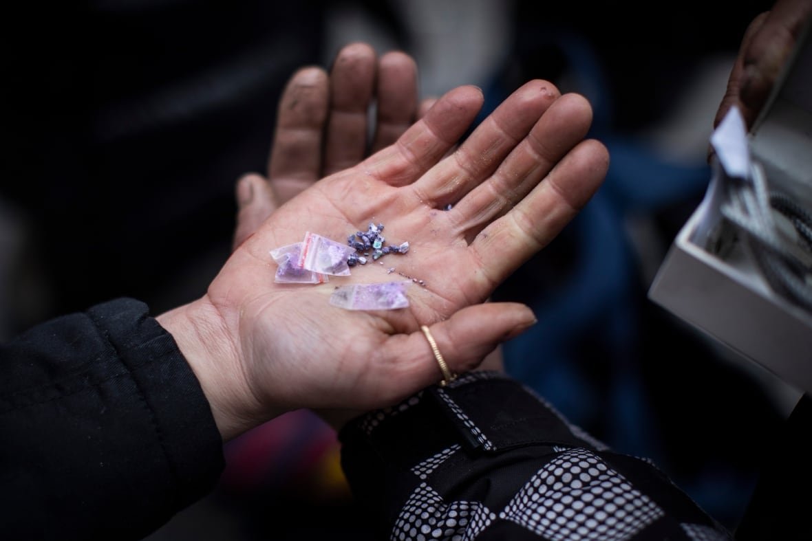 bc-decrim-fentanyl Small purple-coloured rocks are pictured on a person's hand, along with small baggies.