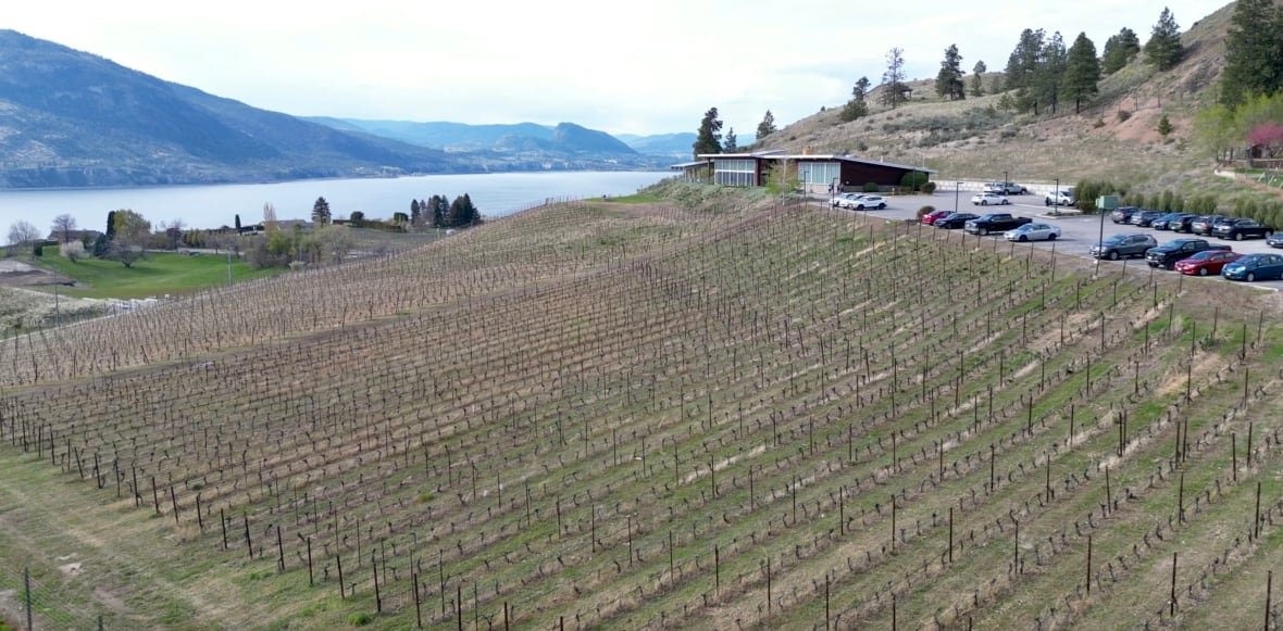 bc-wine-2 An aerial view of a winery in Penticton.