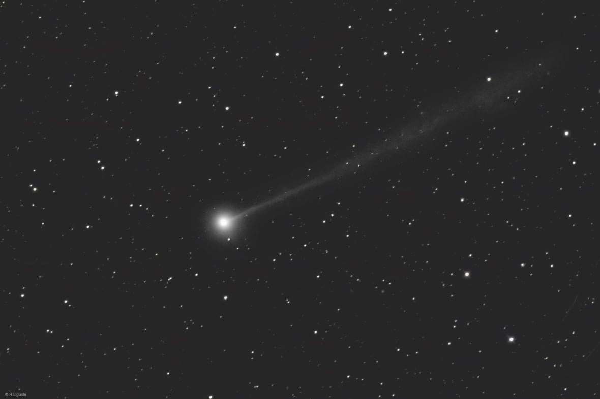 A bright point with a faint tail is seen with many stars in the background.