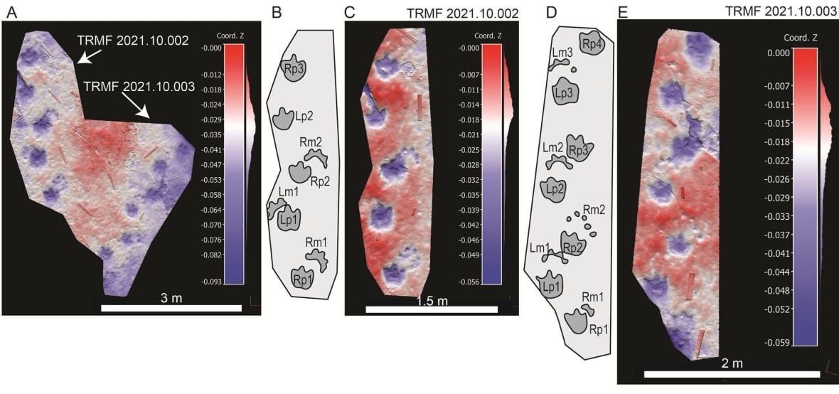 digital-models-of-ruopodosaurus-trackways Red and purple images of lines of footprints