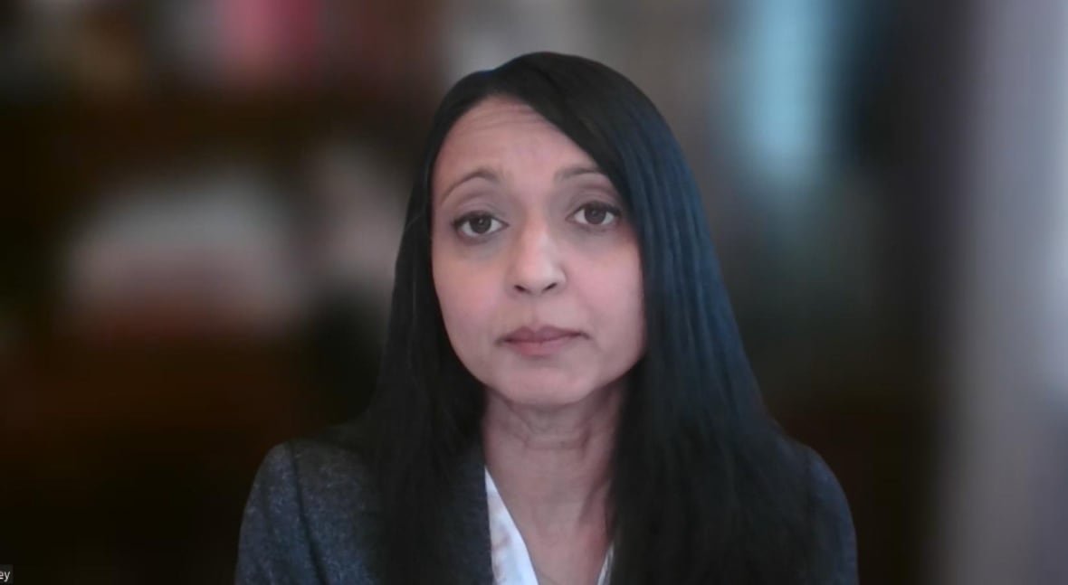dr-vinita-dubey Screenshot from a Zoom call showing a woman in a blazer with long black hair.