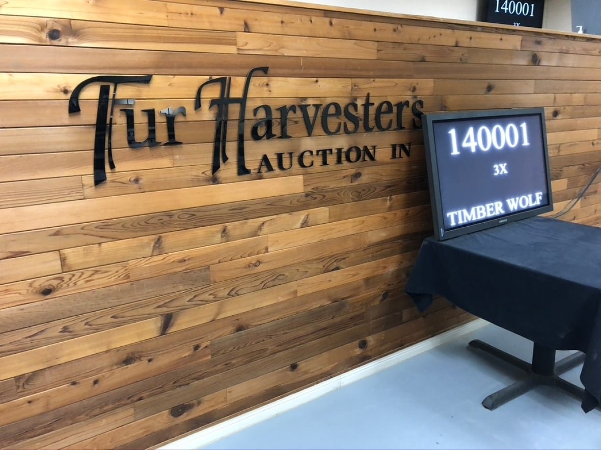 fur-harvesters-auction-block-in-north-bay-ontario A sign reads Fur Harvesters Auction.