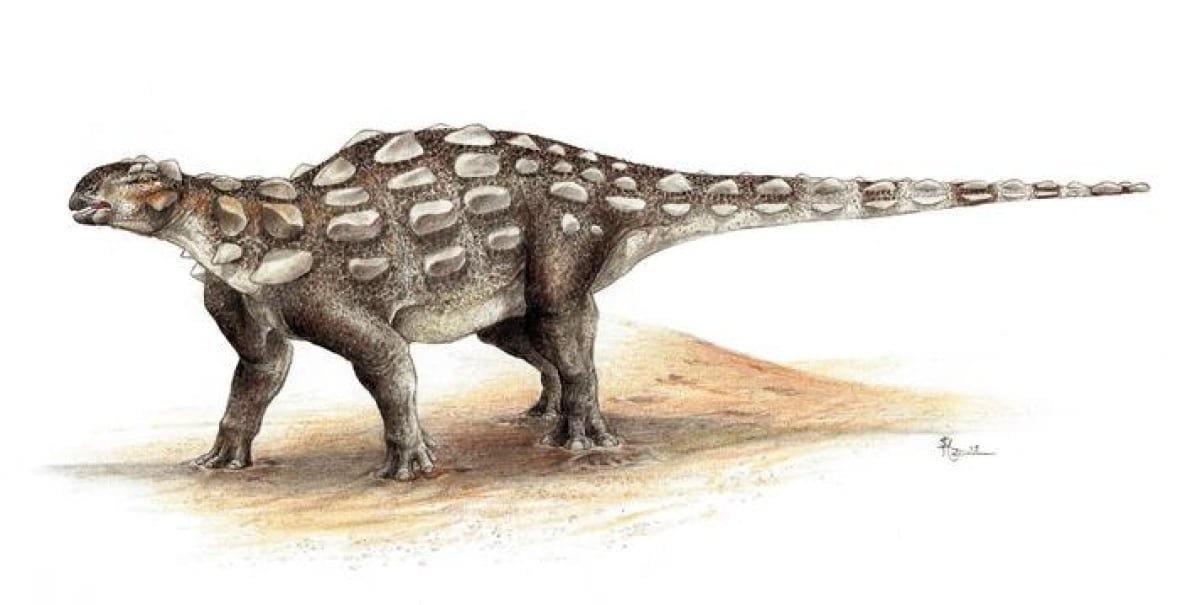 gobisaurus Illustration of an armored dinosaur