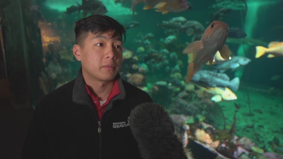 jeff-sha A man with short black hair speaks next to an aquarium fish tank.