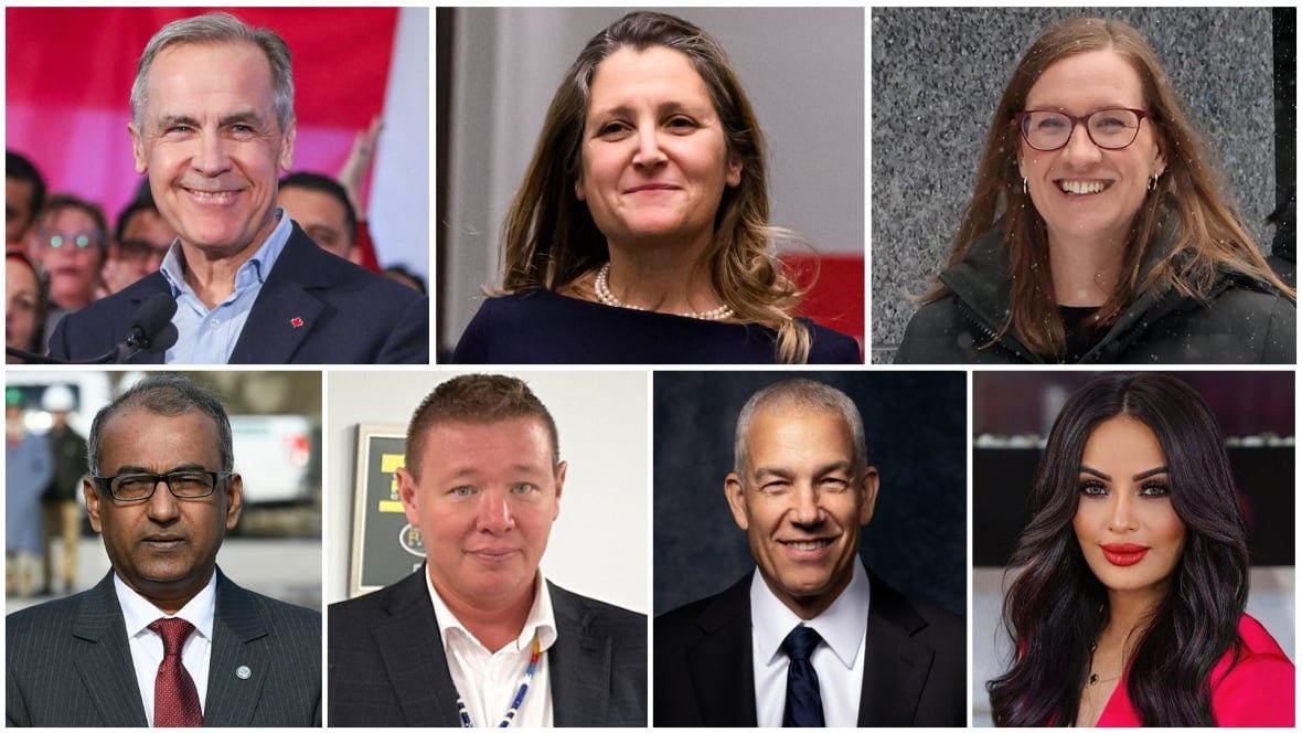 liberal-leadership-candidates-20250120-2 Liberal party leadership candidates are shown in these recent file and handout photos. Top row: Mark Carney, Chrystia Freeland and Karina Gould. Bottom row: Chandra Arya, Jaime Battiste, Frank Baylis and Ruby Dhalla.
