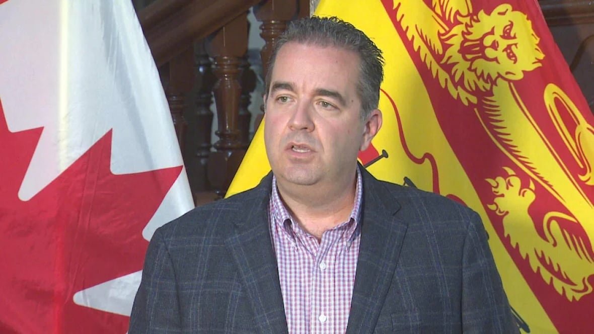 liberal-mla-for-edmundston-madawaska-centre-jean-claude-d-amours A man in a plaid suit jacket and checkered shirt stands in front of two flags: A Canadian flag on the left and a New Brunswick flag on the right.
