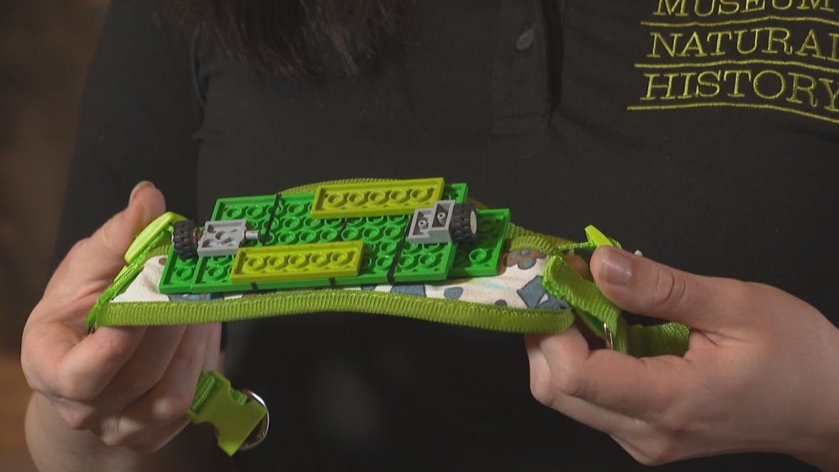 root-s-mobility-aid Pieces of Lego, including wheels, are stuck together and sewn onto a fabric dog harness.