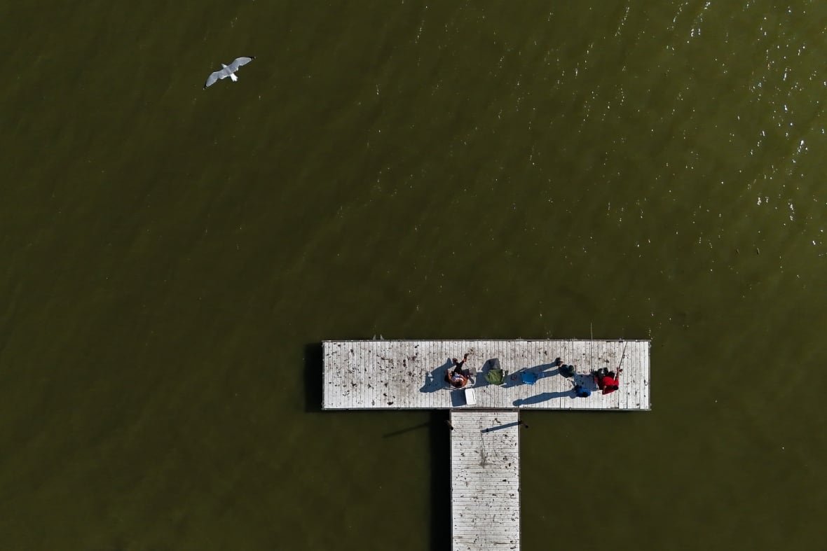 climate-algae-blooms-research A family fishes in Lake Erie during an algal bloom, Wednesday, Sept. 4, 2024, in Toledo, OH.