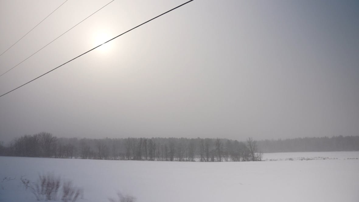 quebec-new-york-border The RCMP patrol near the Quebec-New York border, sometimes in bleak weather conditions.