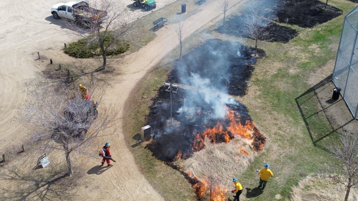 saskatoon-burn Crews conduct a prescribed burn at Donna Birkmaier Park in Saskatoon on April 24.