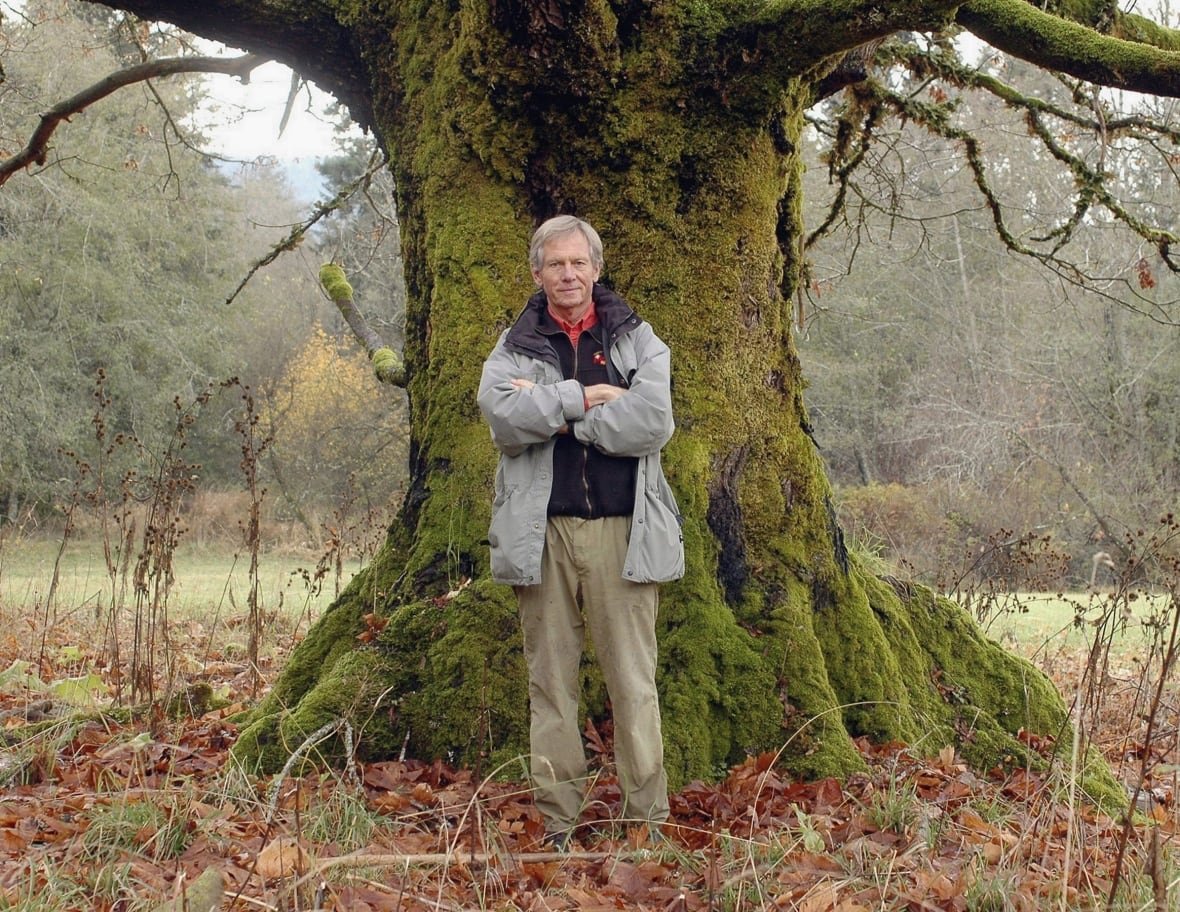 art-bateman-russia-20090925 A man stands against a mossy tree