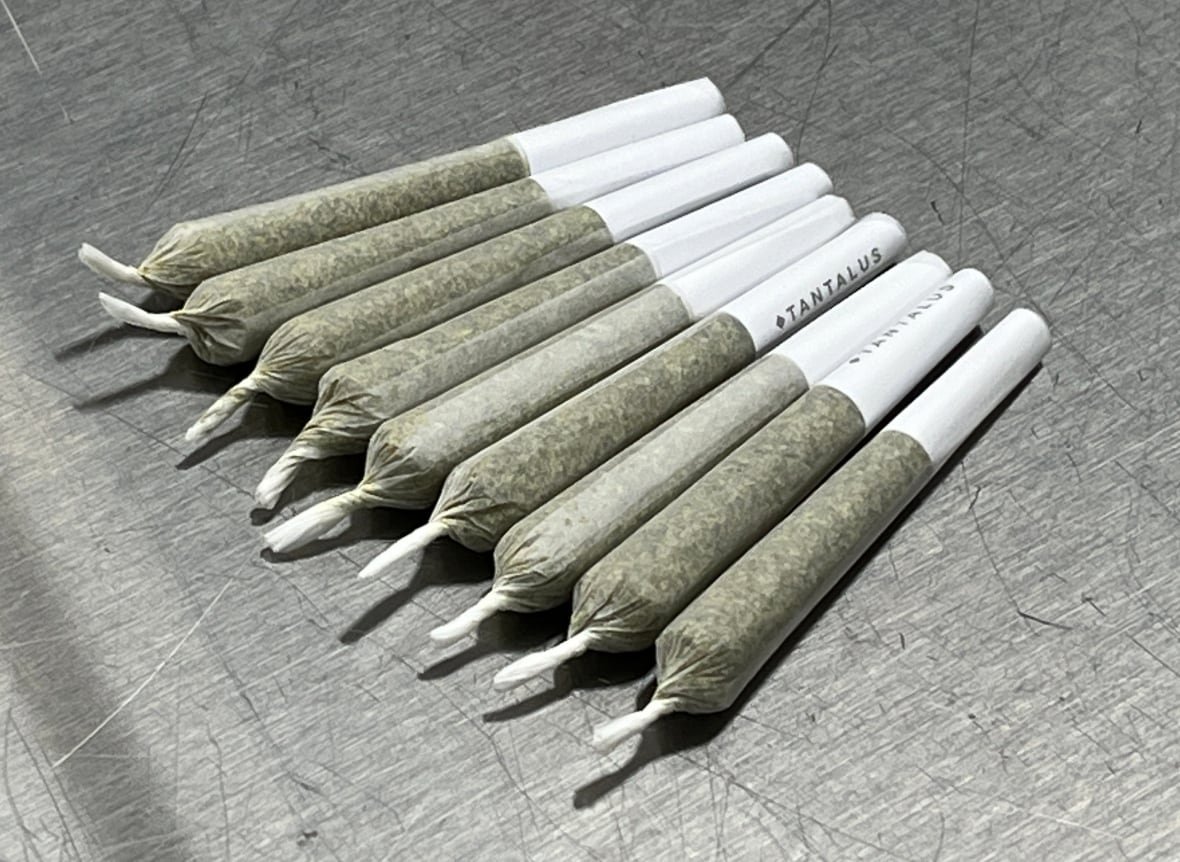 cannabis-joints a photo of rolled cannabis cigarettes.