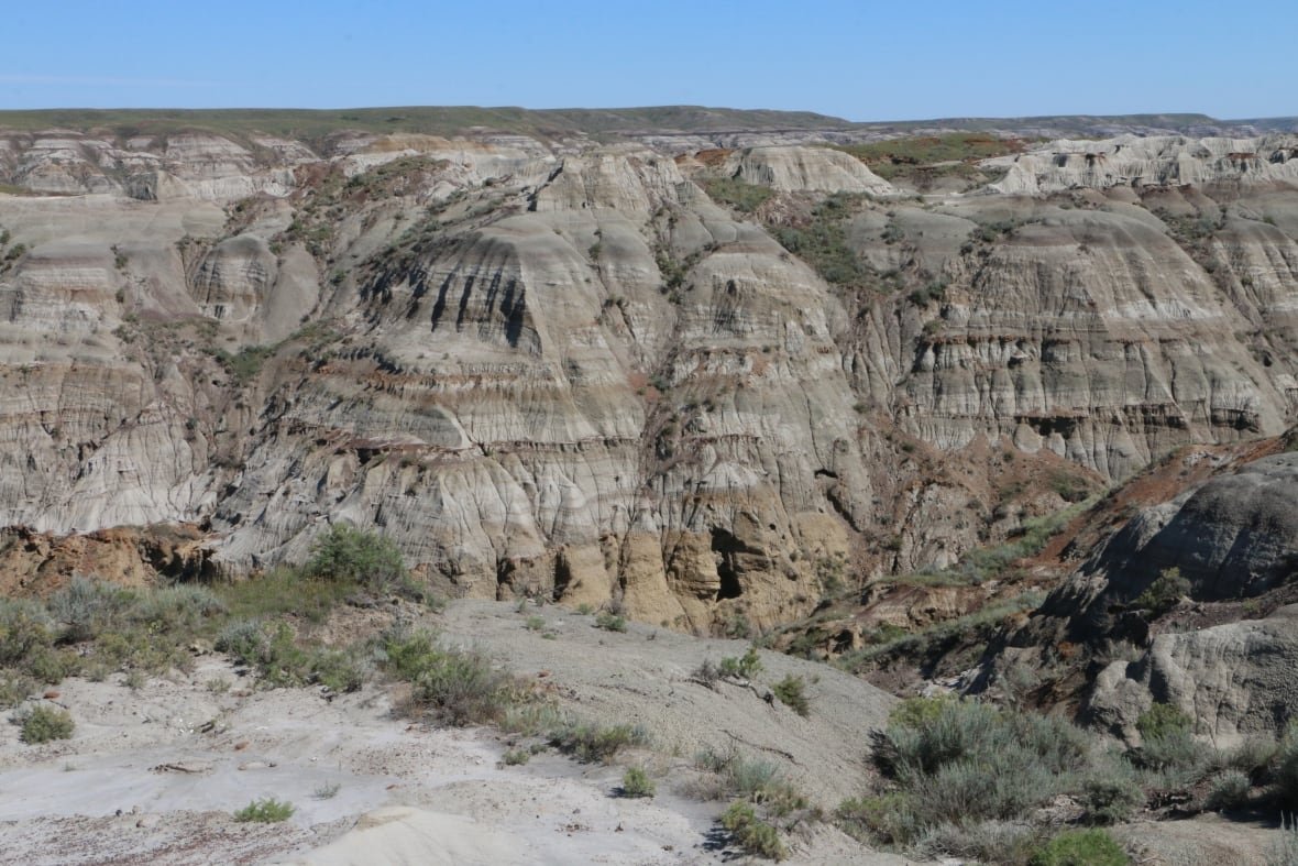 dpp-1 Rocky landscape.