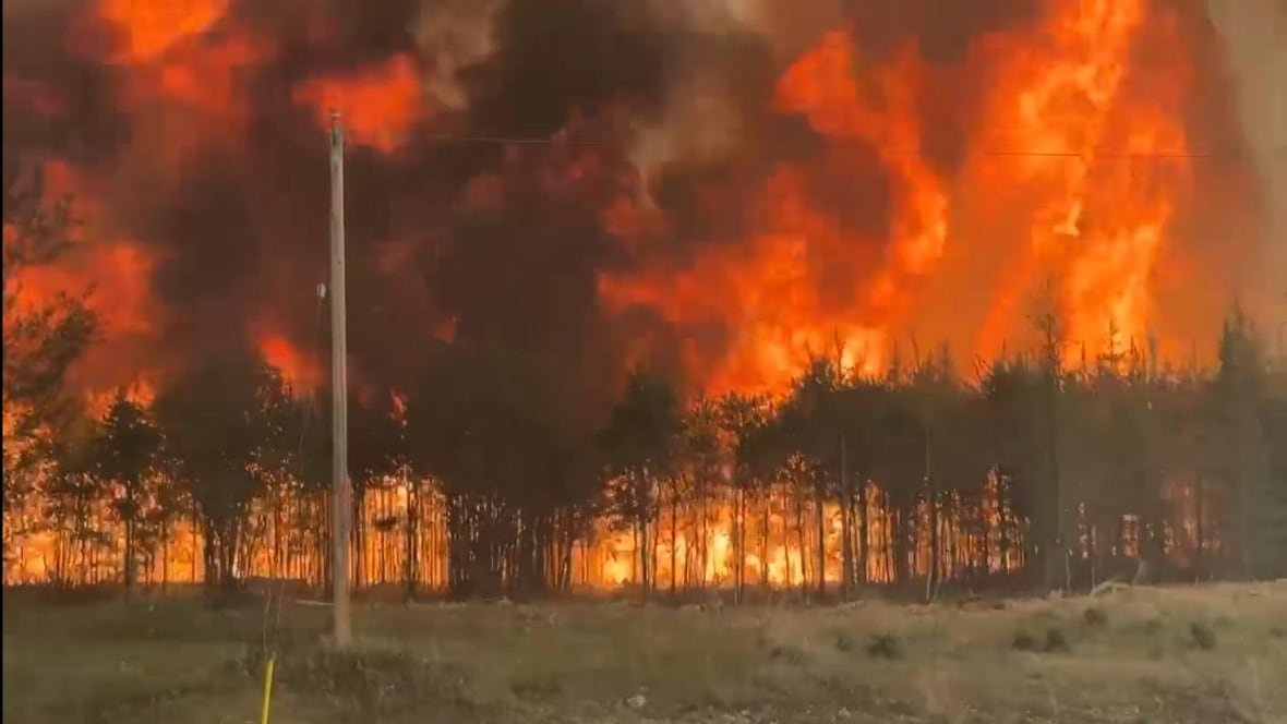 wanless-fire-manitoba-we23 Flames and black smoke rise into the sky behind a row of trees, with a hydro pole in front of them.