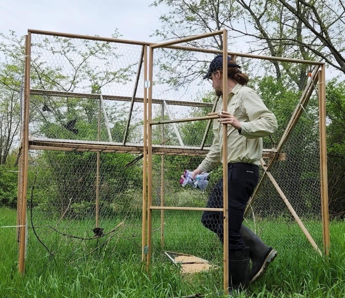 mac-chamberlain A man walks into a structure with wooden beams and chicken wire fencing.