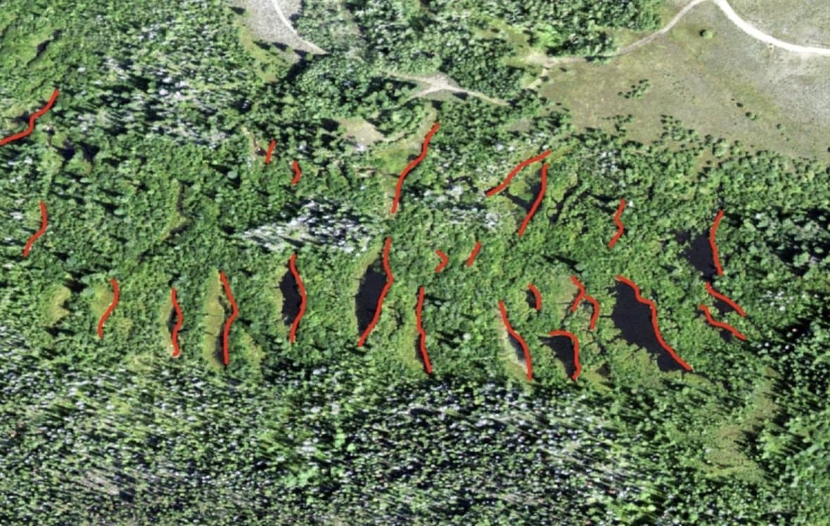 aerial-map-of-beaver-pond-complexes A satellite image showcasing a network of beaver ponds forming a complex